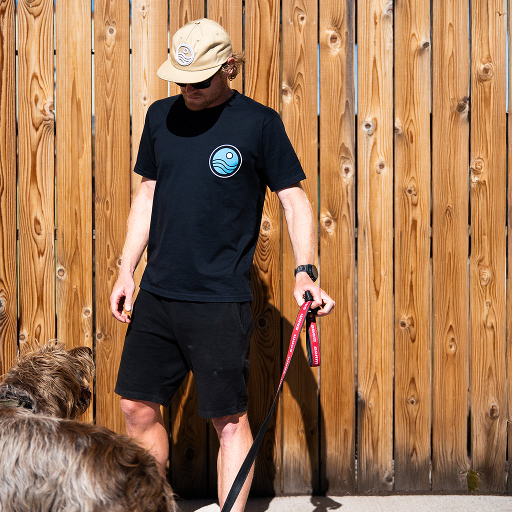 Man walking dogs with a wooden fence background