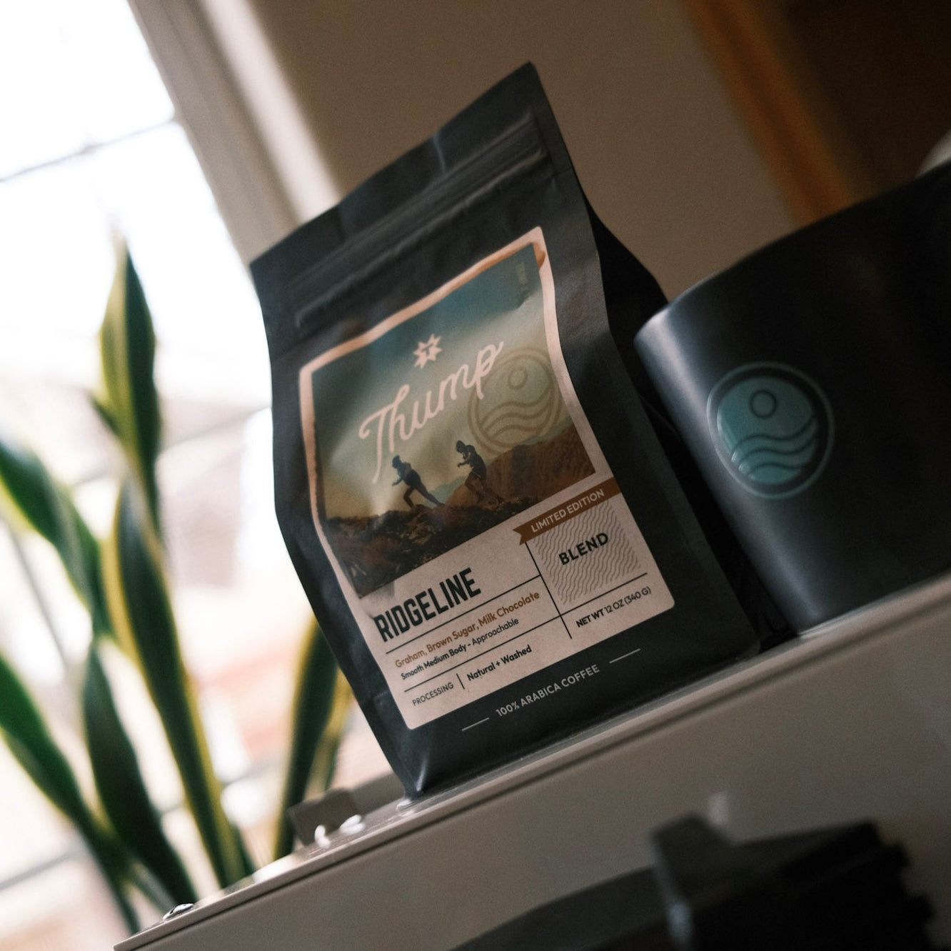Thump Coffee x TTL: RidgeLine Whole Bean 12 Ounce Bag. – That